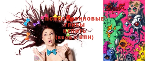 сатива Навашино